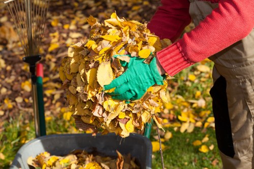 Professional waste removal truck in Kingston Upon Thames